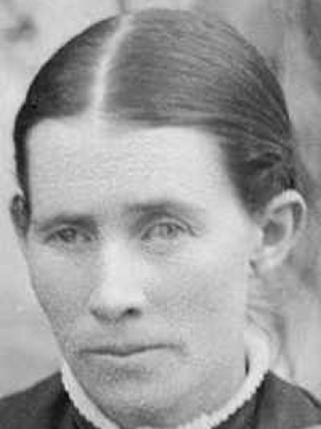 Serilda Jane Allred (1853 - 1936) Profile